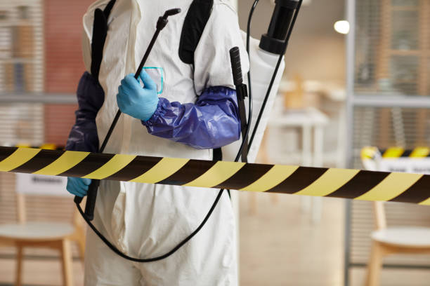 Professional Sewage Cleanup technician working in Fountain, NC